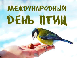 День птиц. День птиц.